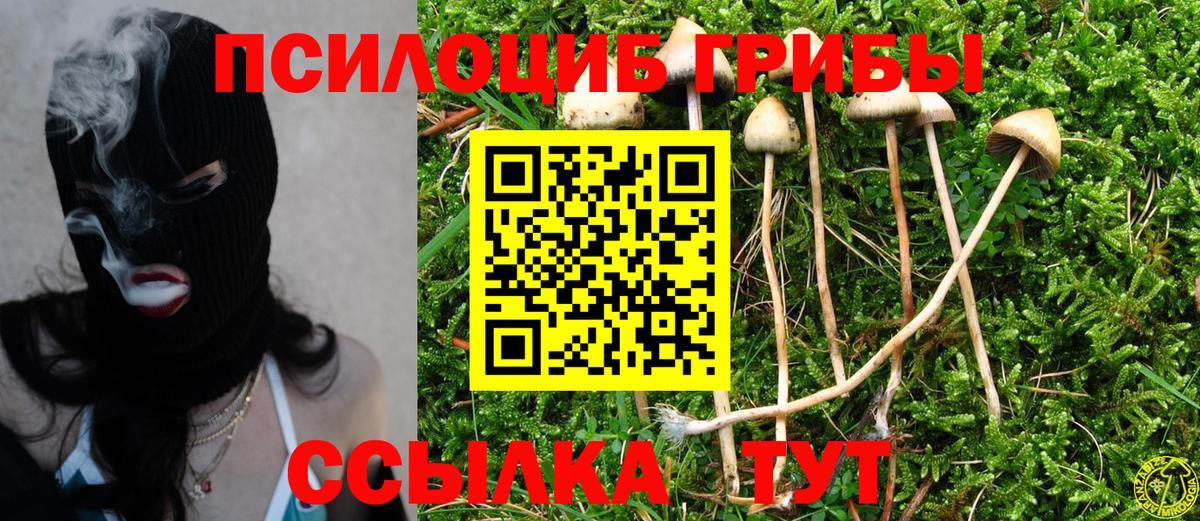Краснознаменск  Галлюциногенные грибы мухоморы  Вход с VPN  Псилоцибиновые грибы MAGIC MUSHROOMS 